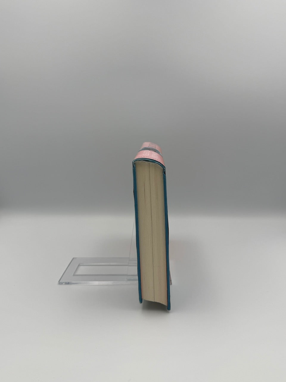 Nomadentochter (B-Ware)