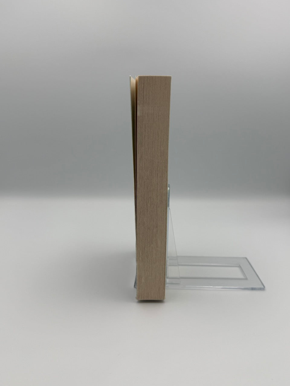 My Favourite Half-Night Stand (EN)