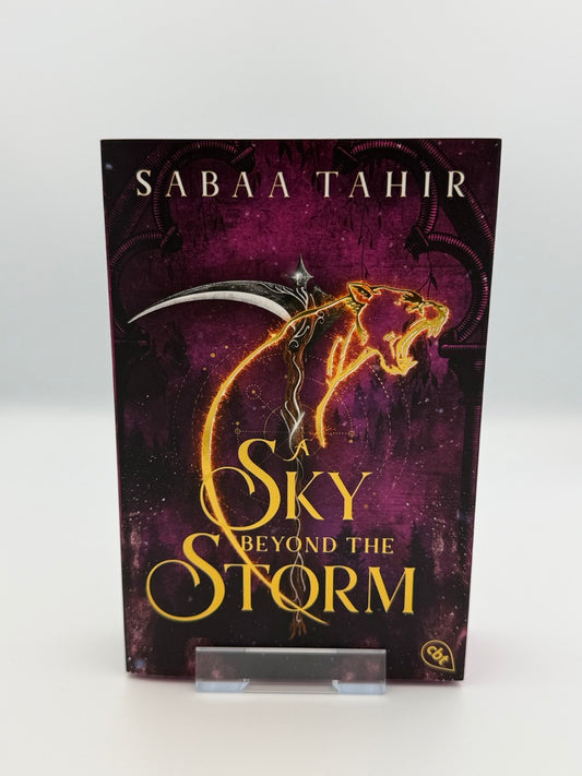 A Sky Beyond the Storm
