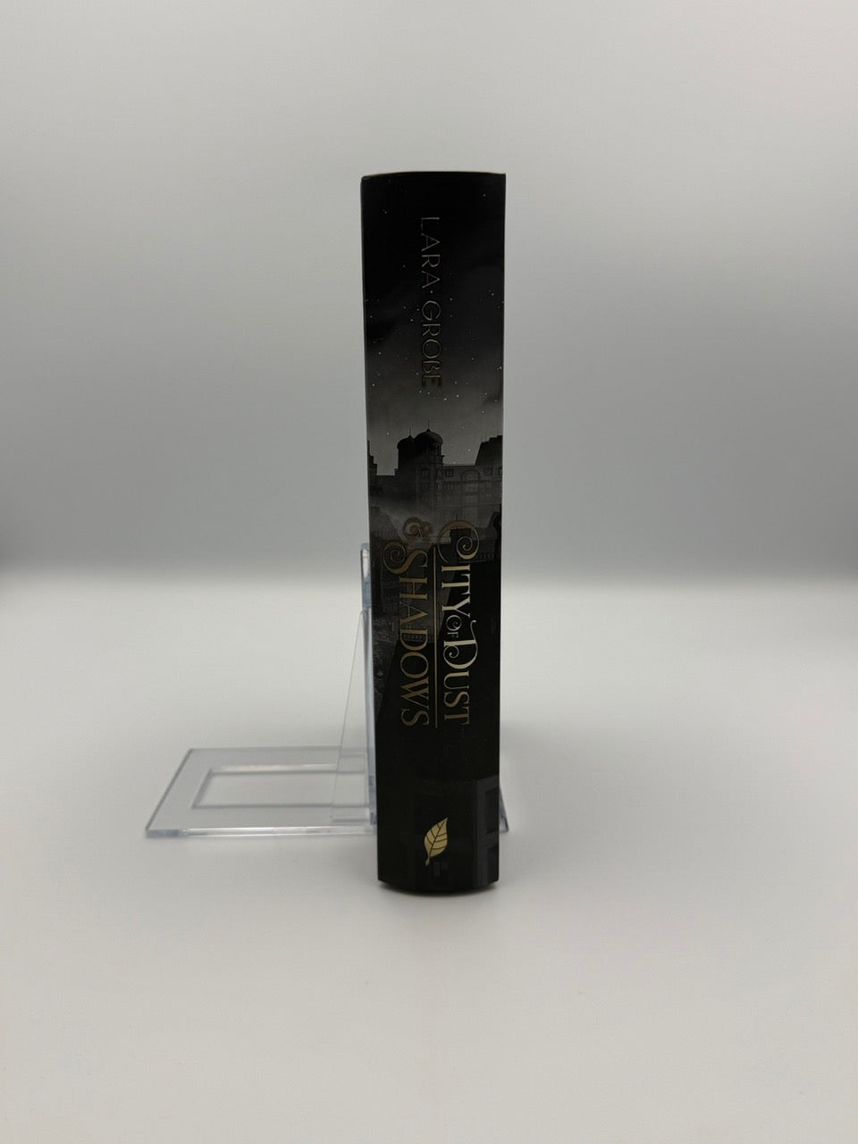 City of Dust and Shadows