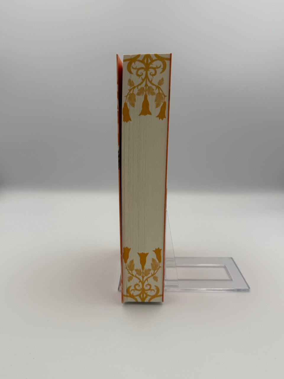 Court of Ice and Ash - Geliebt von meinem Feind