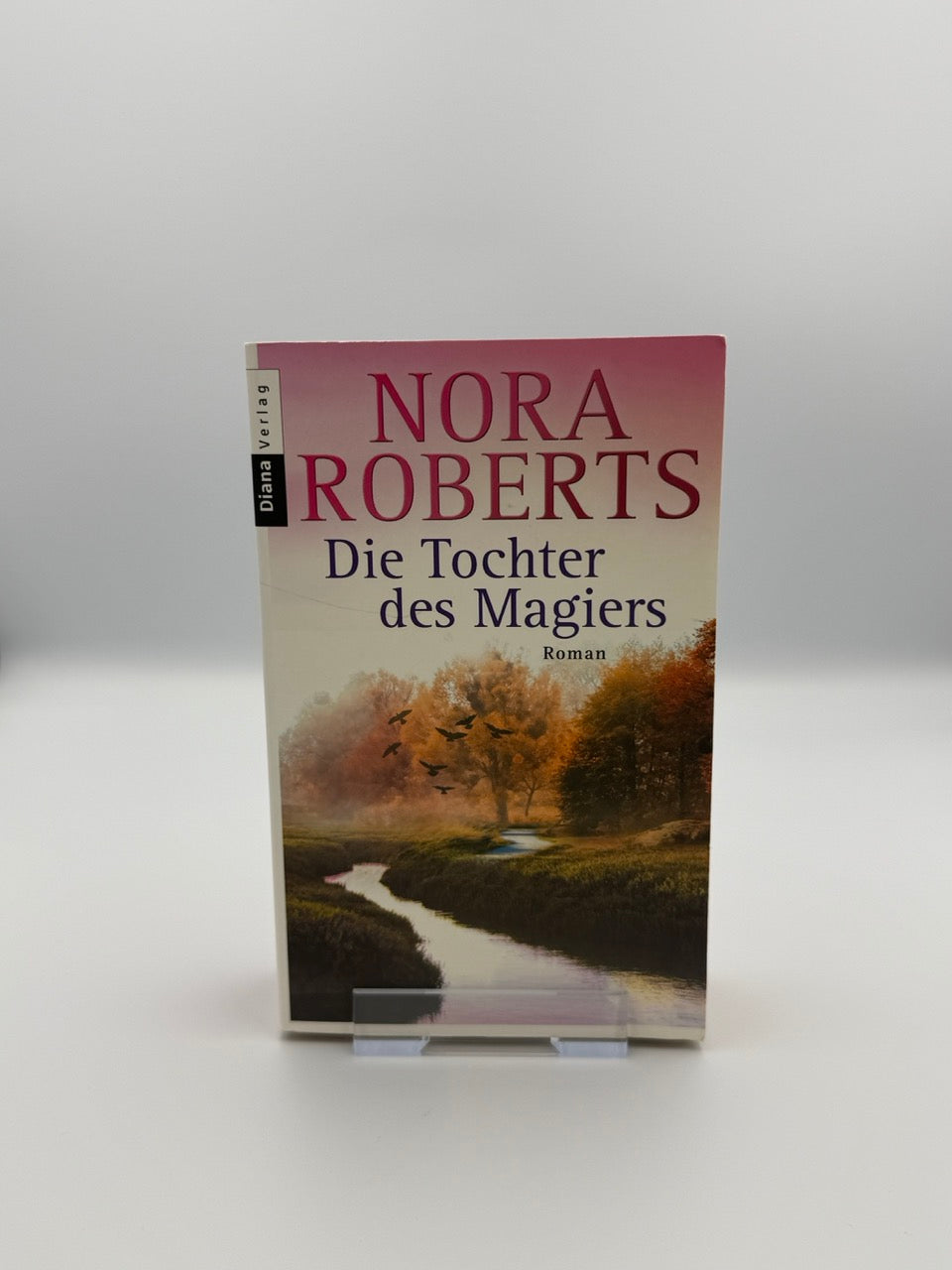 Die Tochter des Magiers
