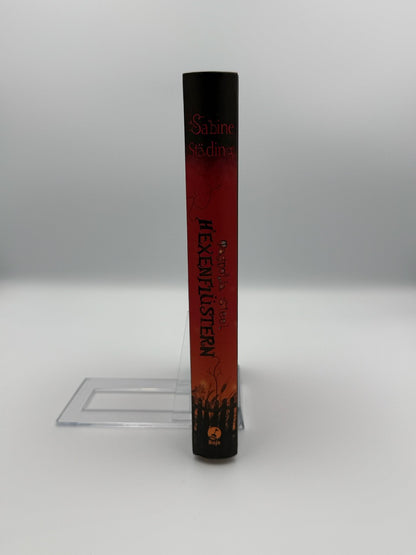 Magnolia Steel - Hexenflüstern