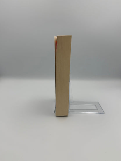 Der Postbote von Girifalco oder Eine kurze Geschichte über den Zufall
