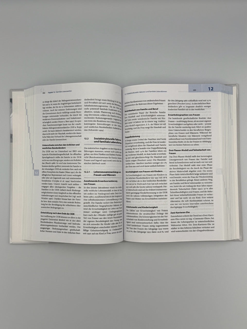 Handbuch der Familiendiagnostik